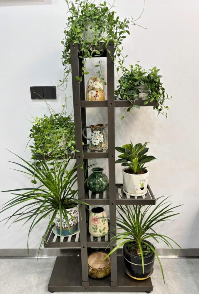 Kệ trưng bày cây cảnh